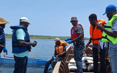 Animal Health Systems Strengthening Project (AHSS)
