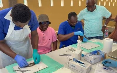 Animal Health Systems Strengthening Project (AHSS)